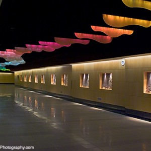 Photo of TSA Airport Rail Station