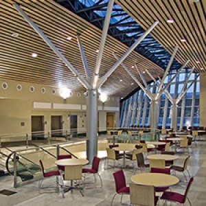 Photo of TSA Airport Rail Station